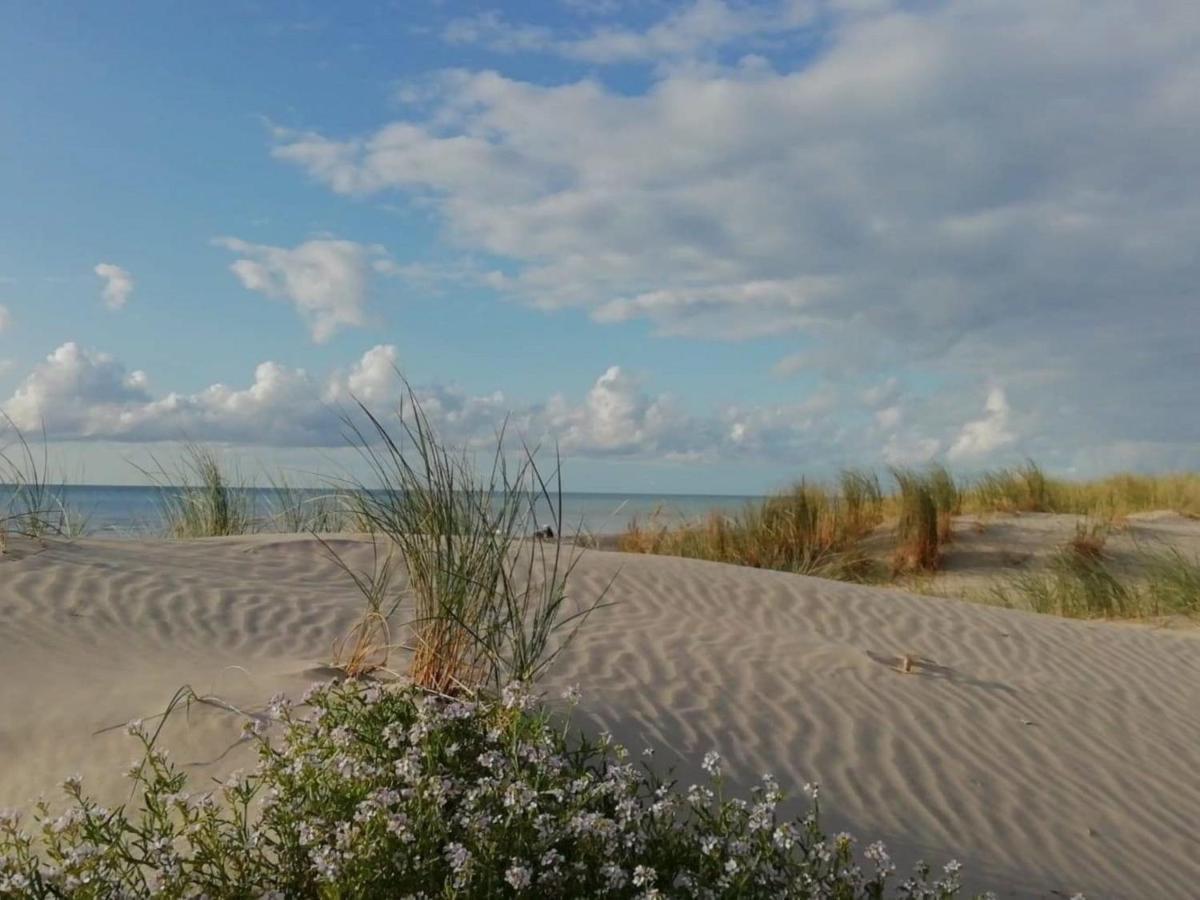 Fort-Mahon : Superbe T2 A 2 Pas De La Plage Avec Parking Prive - Fr-1-482-15 Экстерьер фото